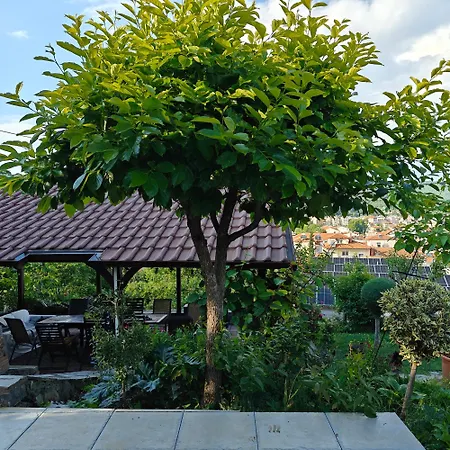 Apartament Eden
