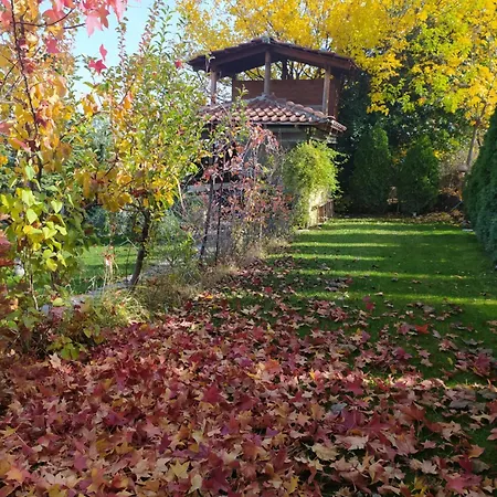 Eden Apartament