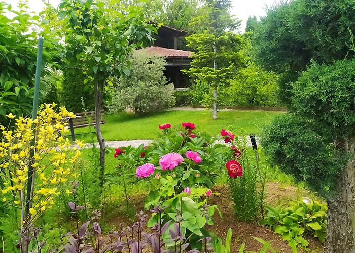 Apartamento Eden